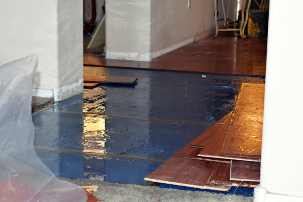 Professional Burst Pipe Cleanup technician working in Brownsboro, TX