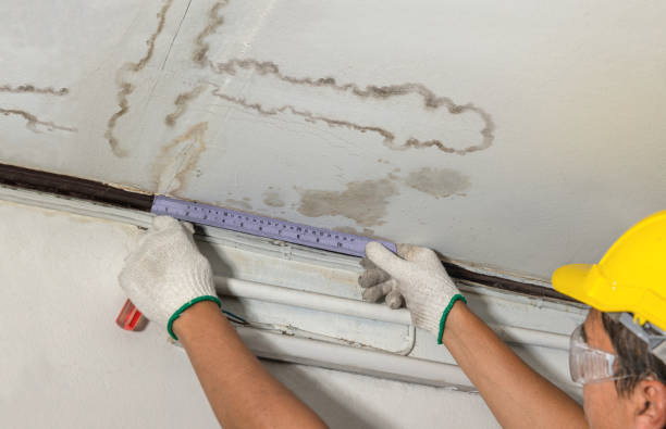 Reliable Burst Pipe Cleanup contractor in Brownsboro, TX by Water Damage Irwin